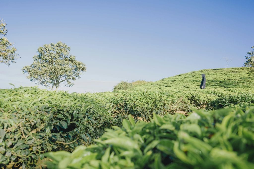 Efectos a causa de la procrastinación