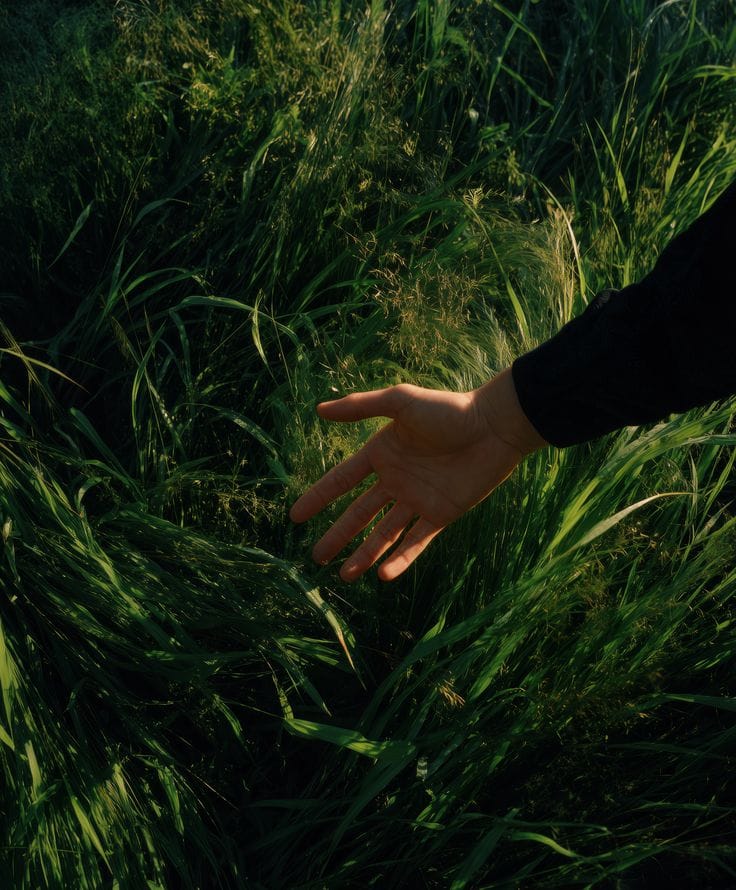 Escucha esto ahora mismo (Anclaje de 5 pasos)