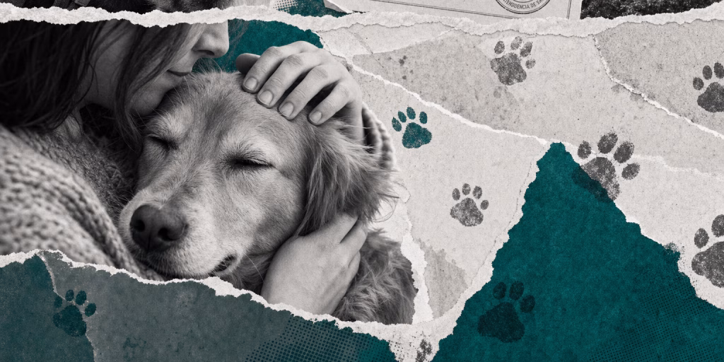 Por qué el vínculo con una mascota puede doler (y sanar) como el de una familia