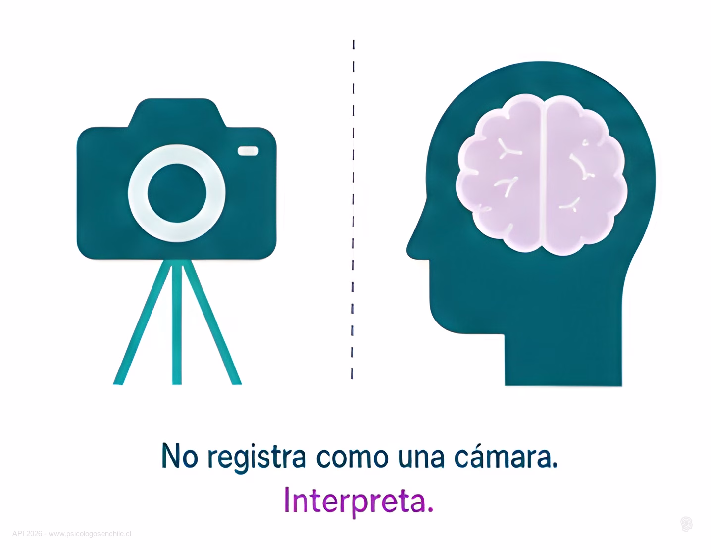 Comparacion entre una camara fotografica y una cabeza humana con un cerebro, mostrando que el cerebro interpreta en vez de solo registrar